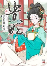 贵妃是份好职业全文