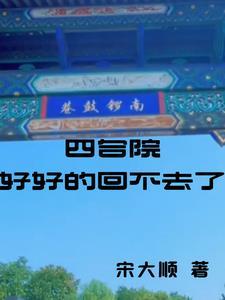 四合院进出 四合院进出