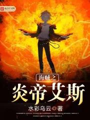 海贼之炎帝艾斯 海贼之炎帝艾斯